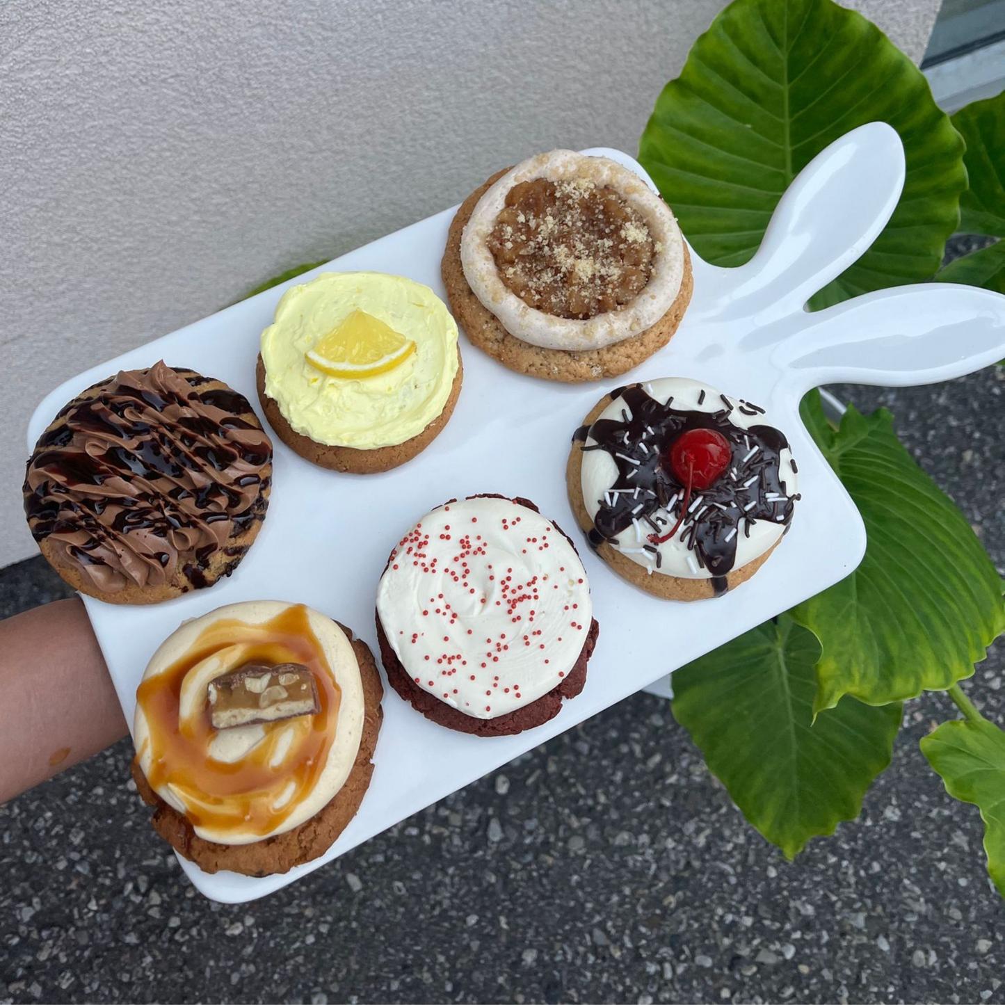 12 Pack /50/100 Original Cookies