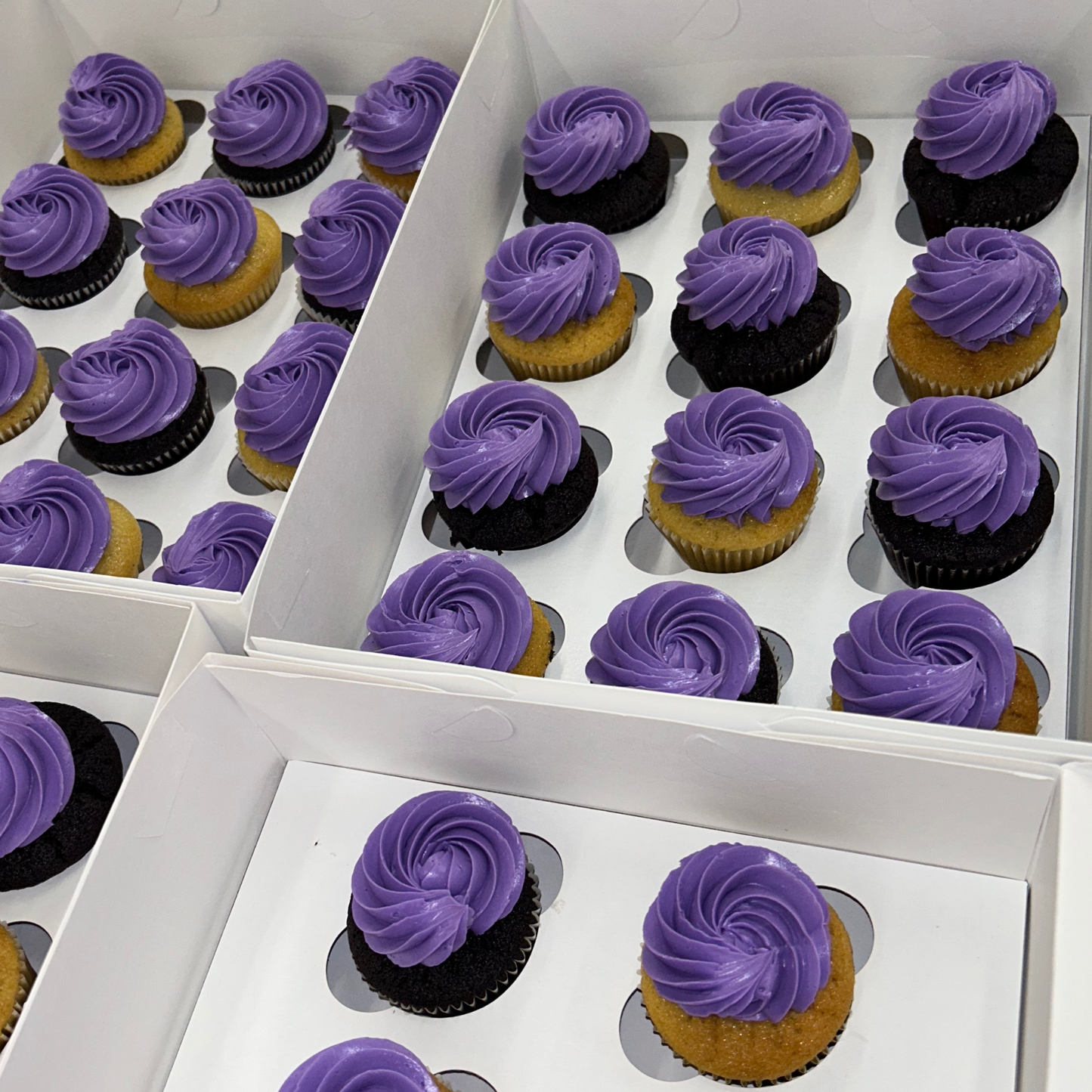 Custom Color Cupcakes